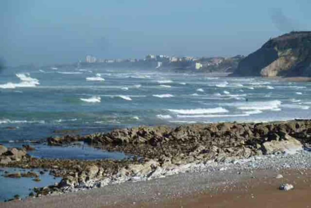 Bidart Cote Basque T3 250 Metres De La Plage 3*** Apartment Exterior photo